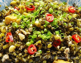 ���ѩ����z������