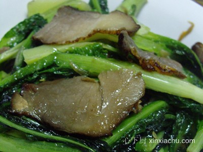 �D���n�S�������