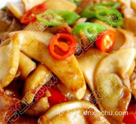 ������Ƭ�����U��������