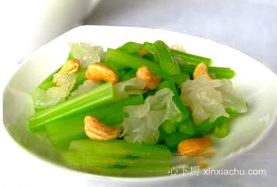 ����ѩ�������۵�����