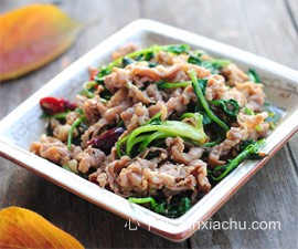 下飯菜 孜然羊肉片的做法 下飯菜 孜然羊肉片的做法