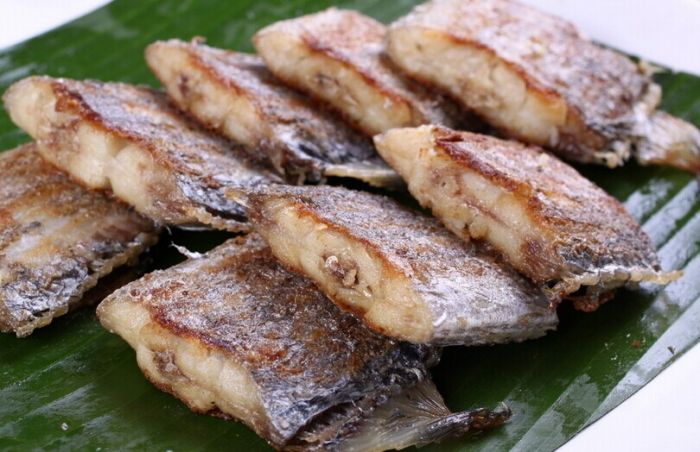 ���~(y��)�ɵ�����