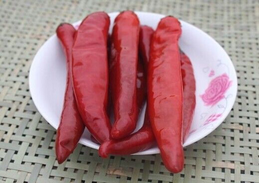 辣椒的腌制的做法 辣椒的腌制的做法