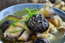 椴木花菇的做法 椴木花菇的做法