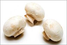 �p��Ģ��������