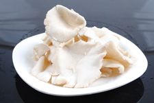 ƽ��������