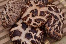 花菇木耳的做法 花菇木耳的做法