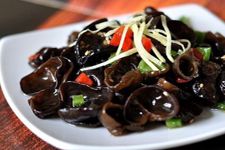 ˬ�ں�ľ��������