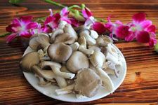 秀珍菇的做法 秀珍菇的做法