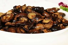 珍珠菇的做法 珍珠菇的做法