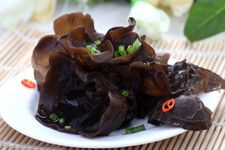 Ұ��ľ��������