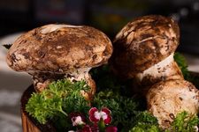 ���׵�����