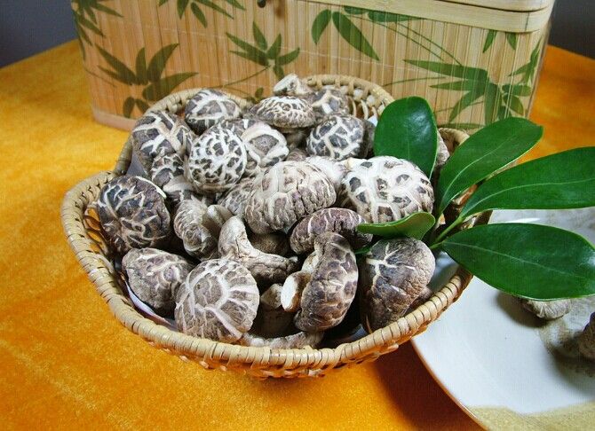 �|������������