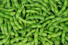 ë��������