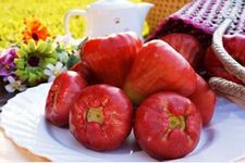 ɏ�F������