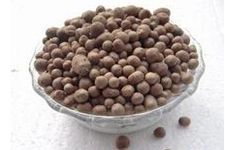 山藥蛋的做法 山藥蛋的做法