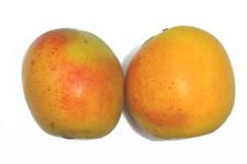 ��ľ�ϵ�����