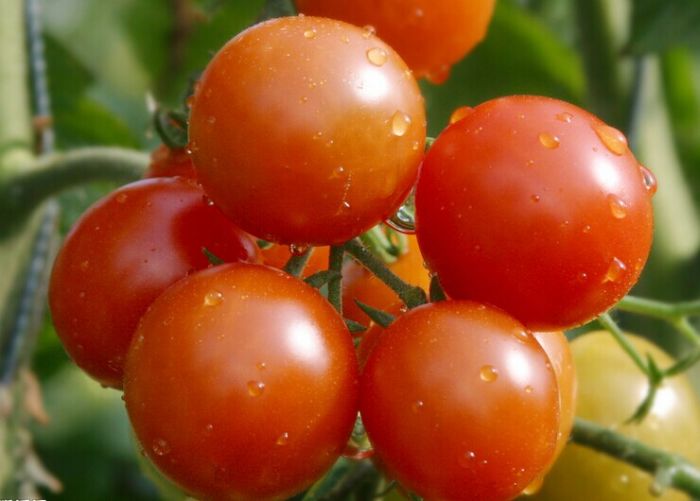 ���t��������