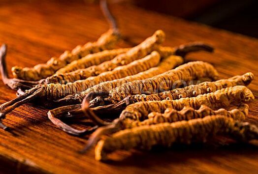 ���x(ch��ng)�Ĳݵ�����