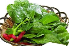 木耳菜的做法 木耳菜的做法