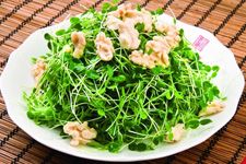 �㴻ѿ������