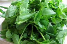 豌豆苗的做法 豌豆苗的做法