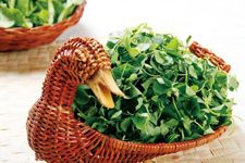 �𻨲˵�����