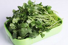 ܾݴ������