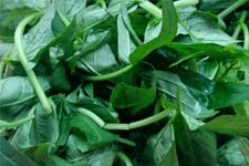 �ع��~������