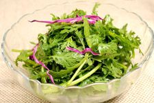 ����˵�����