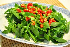 穿心蓮的做法 穿心蓮的做法