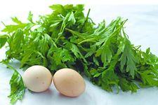 ���ݵ�����