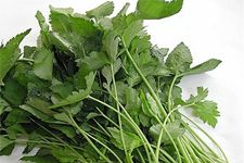 鴨兒芹的做法 鴨兒芹的做法