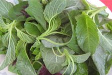 Ұ�{�˵�����