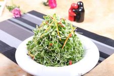 香椿苗的做法 香椿苗的做法