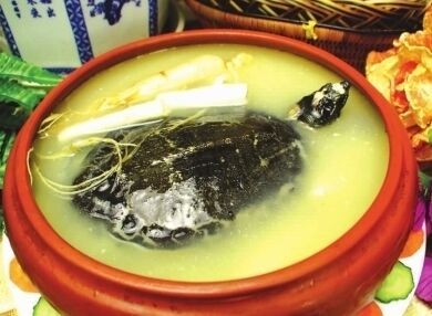 �����M�ל�������