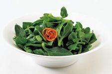 涼拌穿心蓮的做法 涼拌穿心蓮的做法