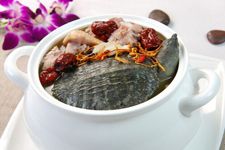 甲魚湯的做法 甲魚湯的做法