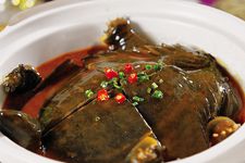 ���~(y��)������