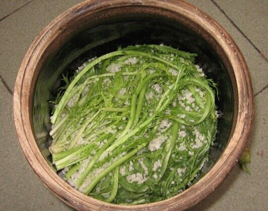 雪里紅的腌制方法的做法 雪里紅的腌制方法的做法