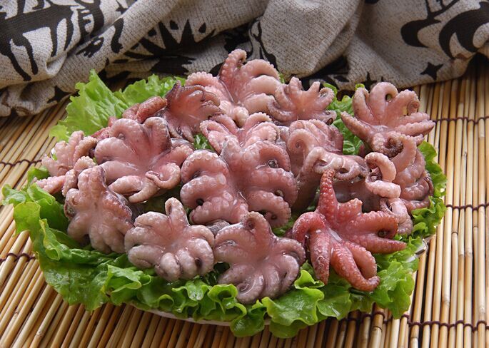 ��צ�~������