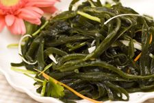 ���躣���z������