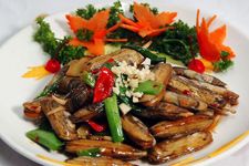 �����|�ӵ�����