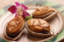 �U�~������