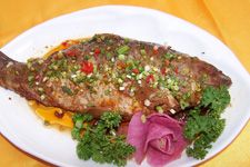 紅燒鯉魚(yú)的做法 紅燒鯉魚(yú)的做法