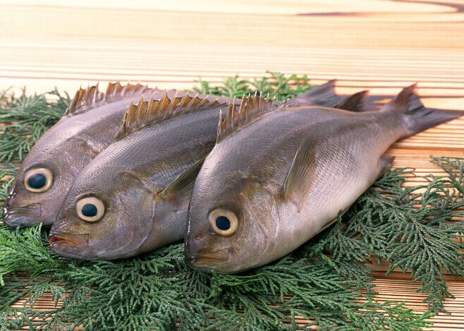 ���~��ô�����ȵ�����