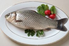 鯽魚的做法 鯽魚的做法