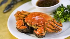 陽澄湖大閘蟹的做法 陽澄湖大閘蟹的做法