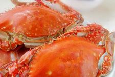 清蒸梭子蟹的做法 清蒸梭子蟹的做法