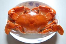 青蟹的做法 青蟹的做法